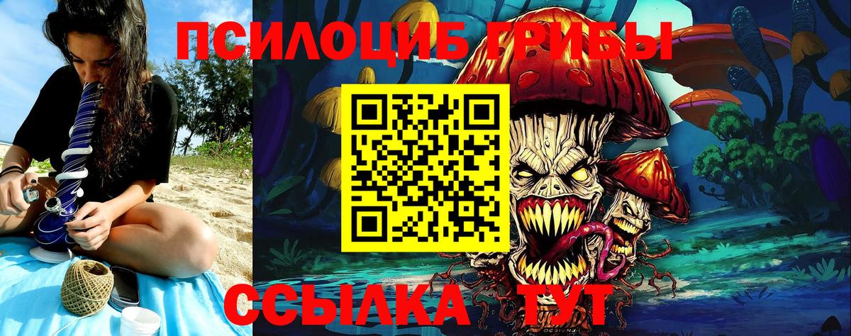 Усть-Кут  Псилоцибиновые грибы мицелий  Псилоцибиновые грибы GOLDEN TEACHER  цена   Вход с VPN 