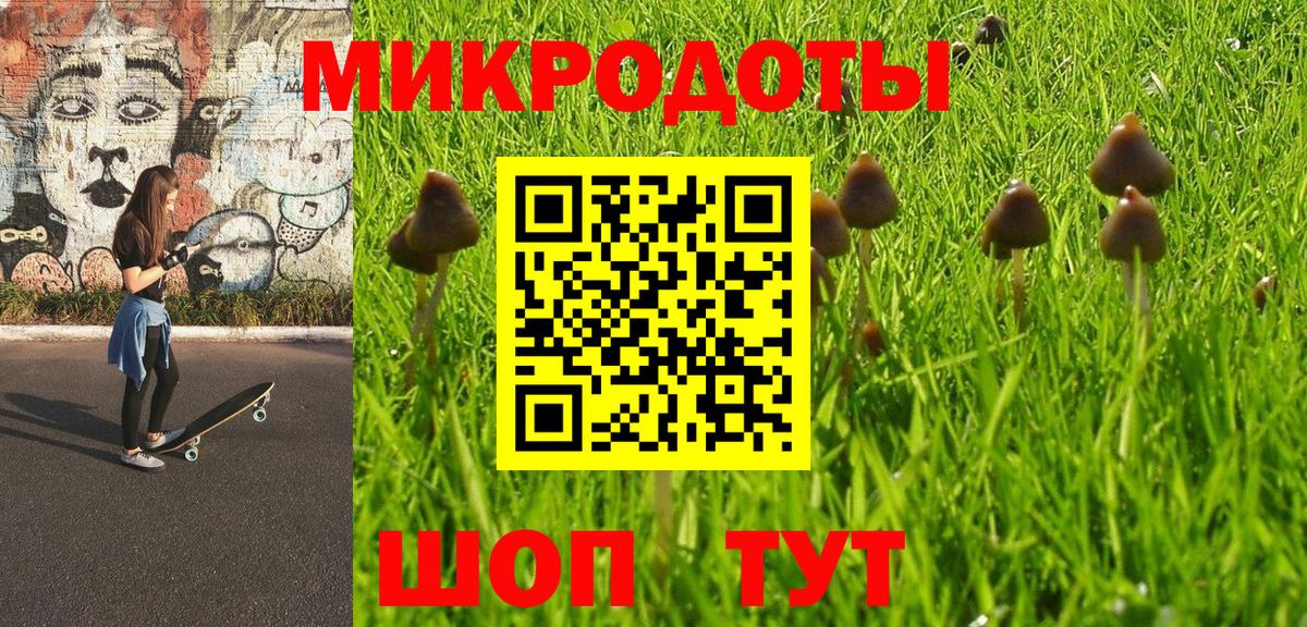 Псилоцибиновые грибы мухоморы Усть-Кут